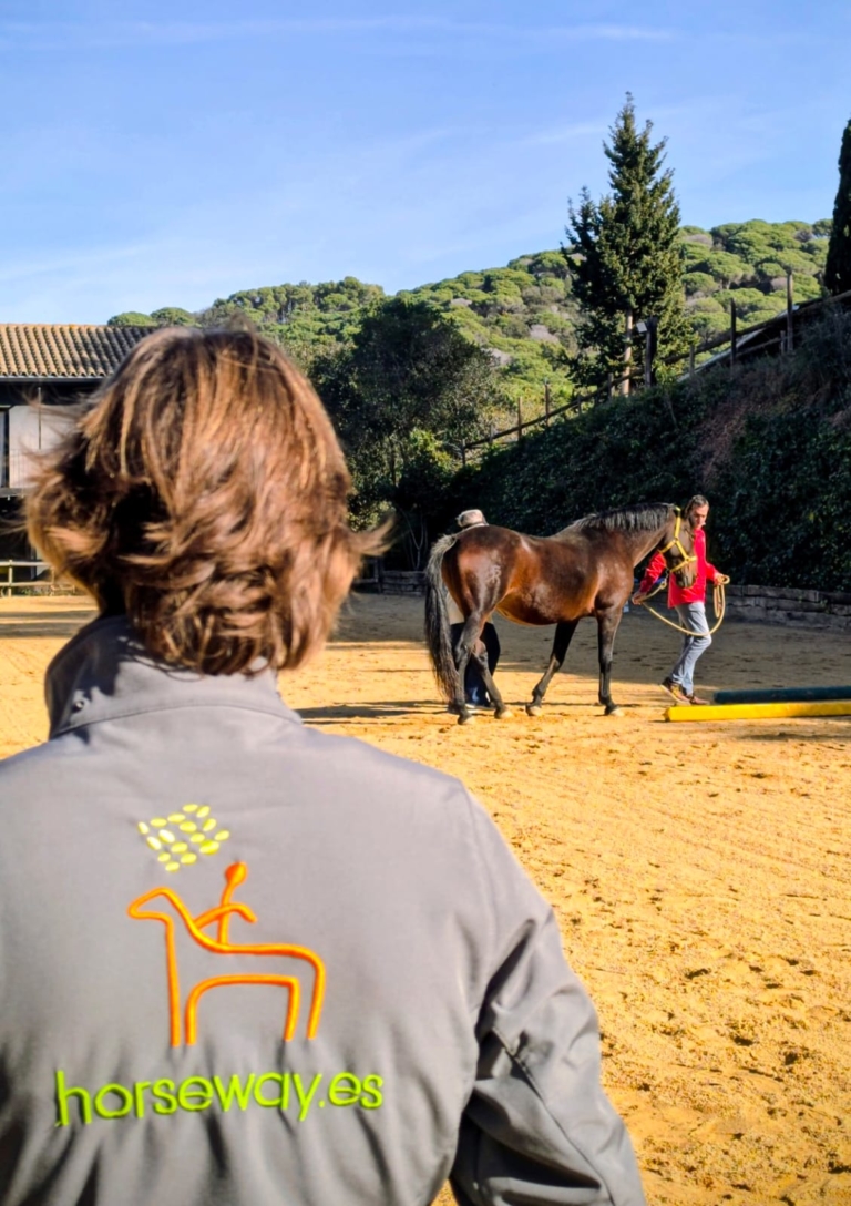 Coaching para empresas en Horseway con Melin Farriols