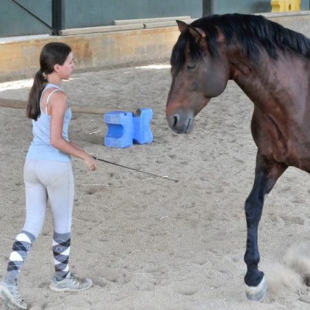 Cristina con Hiedra trabajando la rotaciÃ³n para dirigir al caballo